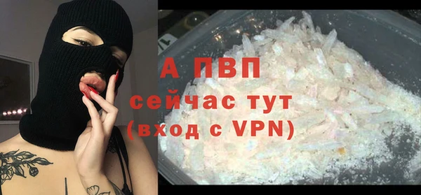 крисы Липки