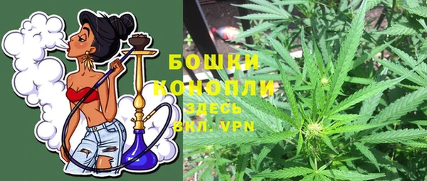 гидра Ладушкин