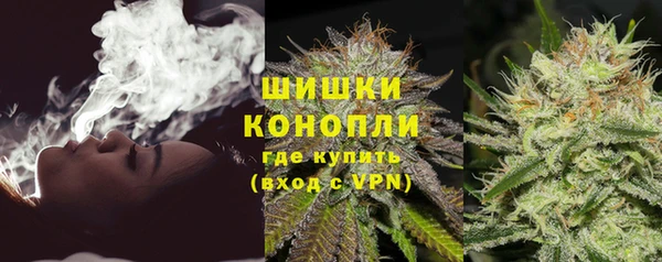 крисы Липки