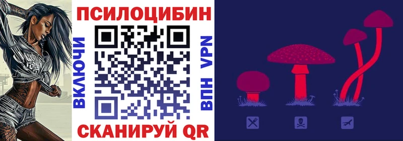 закладки  Новокубанск  Псилоцибиновые грибы MAGIC MUSHROOMS 