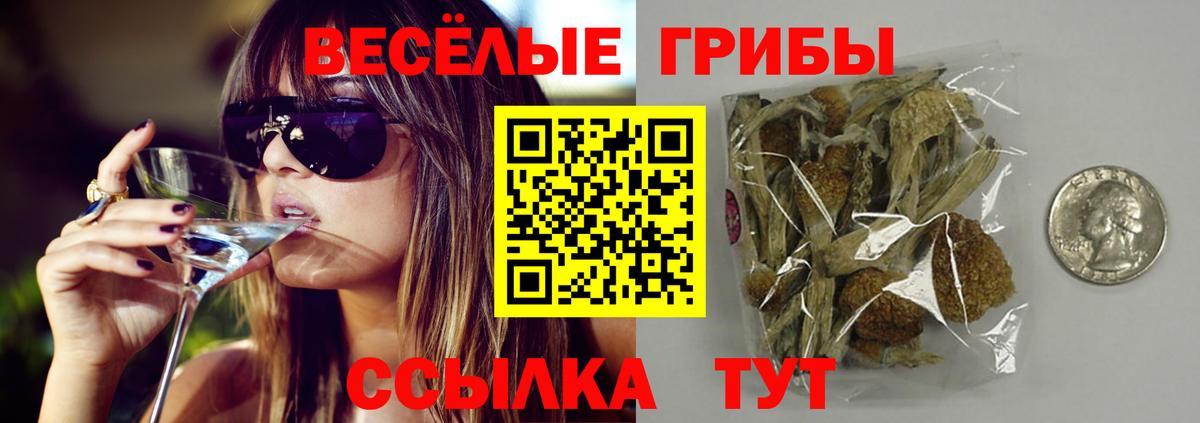 Конопля Новокубанск